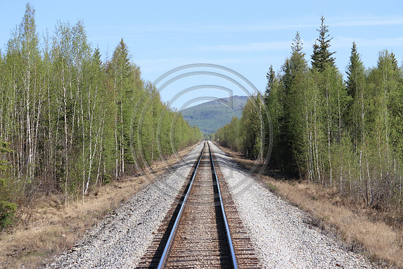 Alaska RR to Denali