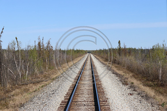Alaska RR to Denali