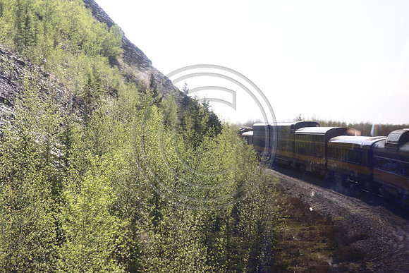 Alaska RR to Denali