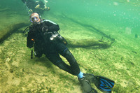 Spring Dives - Sept 2025