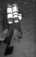 Cave Diving - Peacock to Pot