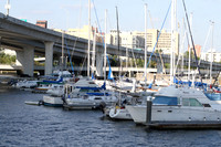 Charleston - Marina