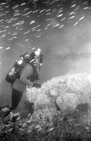 U-352 BW