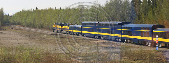 Alaska RR to Denali