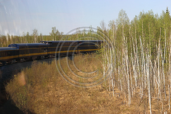Alaska RR to Denali