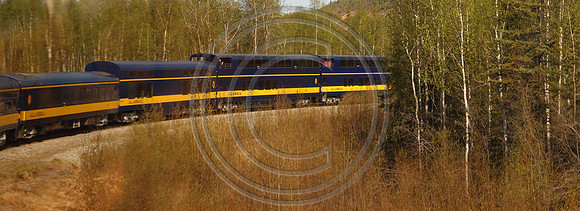 Alaska RR to Denali
