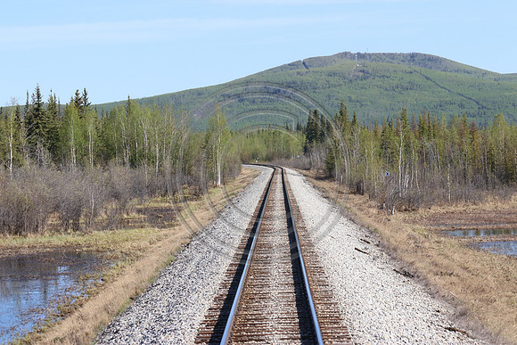 Alaska RR to Denali