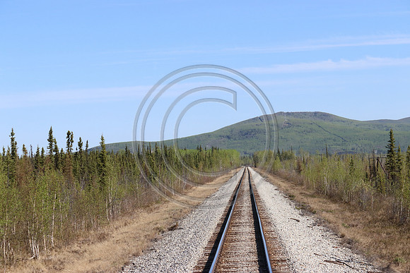 Alaska RR to Denali