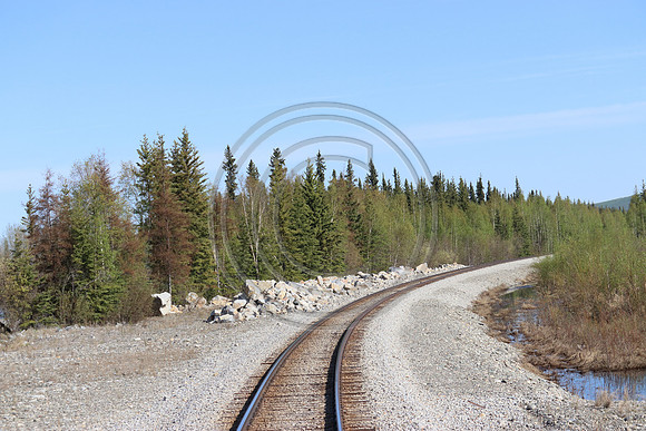 Alaska RR to Denali