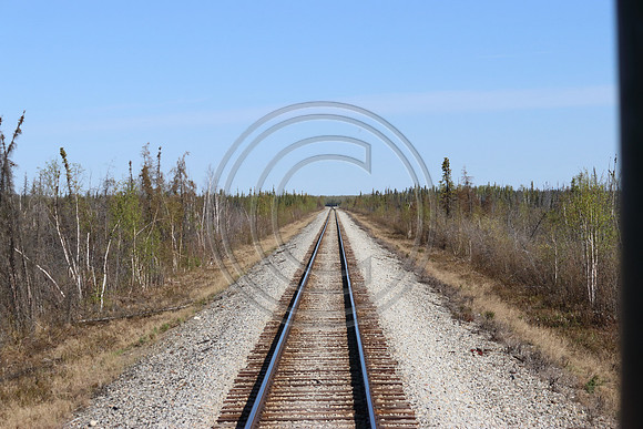 Alaska RR to Denali