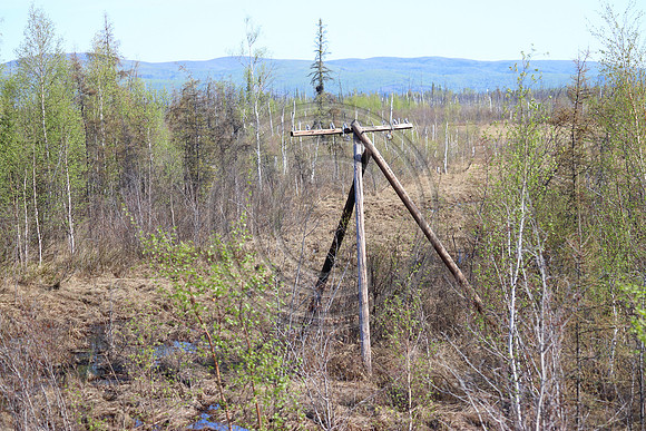 Alaska RR to Denali