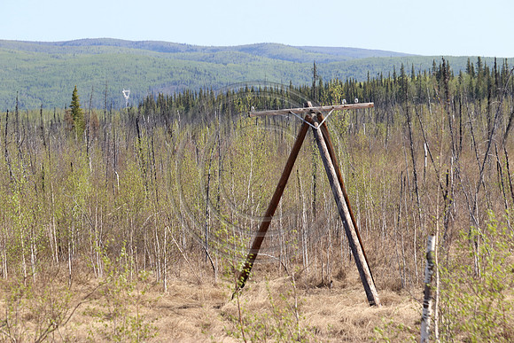 Alaska RR to Denali