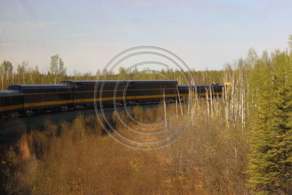 Alaska RR to Denali