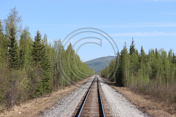 Alaska RR to Denali